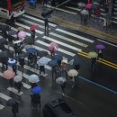 황사 내일 오전 물러가고 주말엔 비…변덕의 4월 이미지