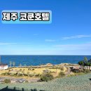 코쿤애월 | 제주공항 근처 숙소 애월 코쿤호텔 오션뷰 객실 숙박