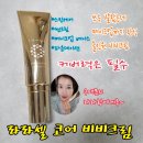 황부업