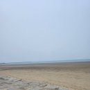 고창바지락칼국수 이미지