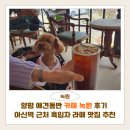 녹원 | 양평 애견동반 카페 녹원 후기 | 아신역 근처 흑임자 라떼 맛집 추천