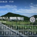 카페키노 티스토리