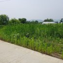 송남초등학교 이미지