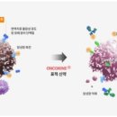 카인넥스 이미지