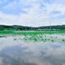 고구낚시터 이미지