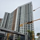 엠티브이 이미지