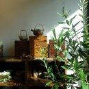 토담도예 이미지