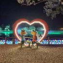 틀모산 도시숲 이미지