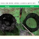 대한모타펌프