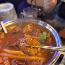 조타통닭 | 서면 치킨, 닭도리탕 잘하는 옛날통닭앤탕ㅣ맥주 한 잔 하기좋은 옛날술집 감성 맛집 추천