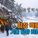 평창 백룡동굴 | 눈 오는 날 더 예쁜 동굴? 평창 백룡동굴 겨울 탐방 리얼 후기