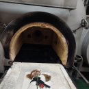 강아지 펫 헤븐 이미지