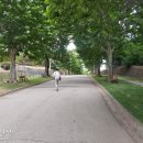 용산-118 이미지