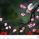 우리들이 보는 세상 이미지