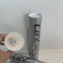 준체육사