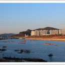 강정고령보 이미지