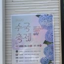 서울 근교 가볼만한곳 용인 자작나무숲 수국축제 기간 베이커리 카페 솔직후기 (애견동반 가능)