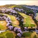 벚꽃이 아름다운 골프장 이미지