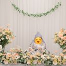 특별한날디딤