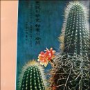 쌍룡중학교 이미지