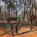 황방산 맨발걷기 | 울산 중구 황방산 맨발 걷기 참여