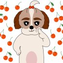 망고키즈수영장 이미지