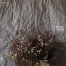 미스티블루 - 춘천시 퇴계로93번길 4-5 | 미스티블루