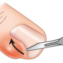 예스연합의원 이미지