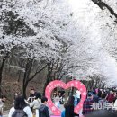 지방도333호 네이버블로그