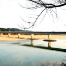 동항교 - 152 | 동항교