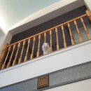 송당휴먼오름 이미지