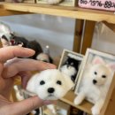 달문 | 산본 달문이공장 양모펠트 강아지키링만들기 후기🐶
