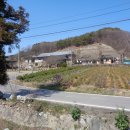 청소년수련원길 이미지