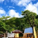 캠프오후4시 이미지