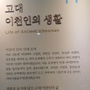 이천시립박물관 이미지