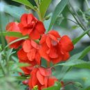 빨강궁전 이미지