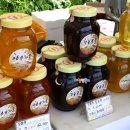 고흥 만남의 광장 이미지