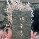 강남-170 | [서울/강남] 압구정 고기 구워주는 제주 감성 분위기 맛집 '제주옥탑 블랙BBQ' 내돈내산 후기