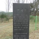 이상재 묘(李商載 墓) | 경기도 기도터-양주시 남면 신산리 천년 느티나무 서낭과 이준선생 영정당과 400년 소나무 기도터