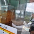 못난이꽈배기괴산하행점