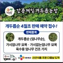 판산골농장 | [공지] 25년 강릉 유기농 개두릅 판매종료