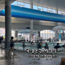 아산스파비스 | 아산 스파비스 온천 스파 솔직 후기 (가격·시설 총정리)