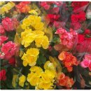 삼환2빌딩상가 이미지