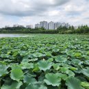 수원-1912 이미지