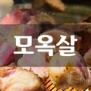 모옥살 초읍연지지점