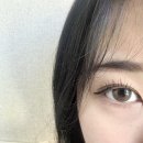 산호동345 | 마산창원 산호동 속눈썹펌 뷰러펌 맛집 :: 십이월뷰티샵 sipiwol