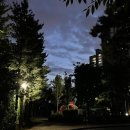 weekly diary 5-1) 주 4일 근무 체험