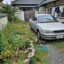 당진호스릴-5 이미지