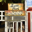 대정읍 구연청사무실 옆 | [제주] 4계절 제주의 마지막, 폭우와 노을로 완성된 여름 제주