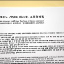 조록나무 뿌리 형상물 이미지